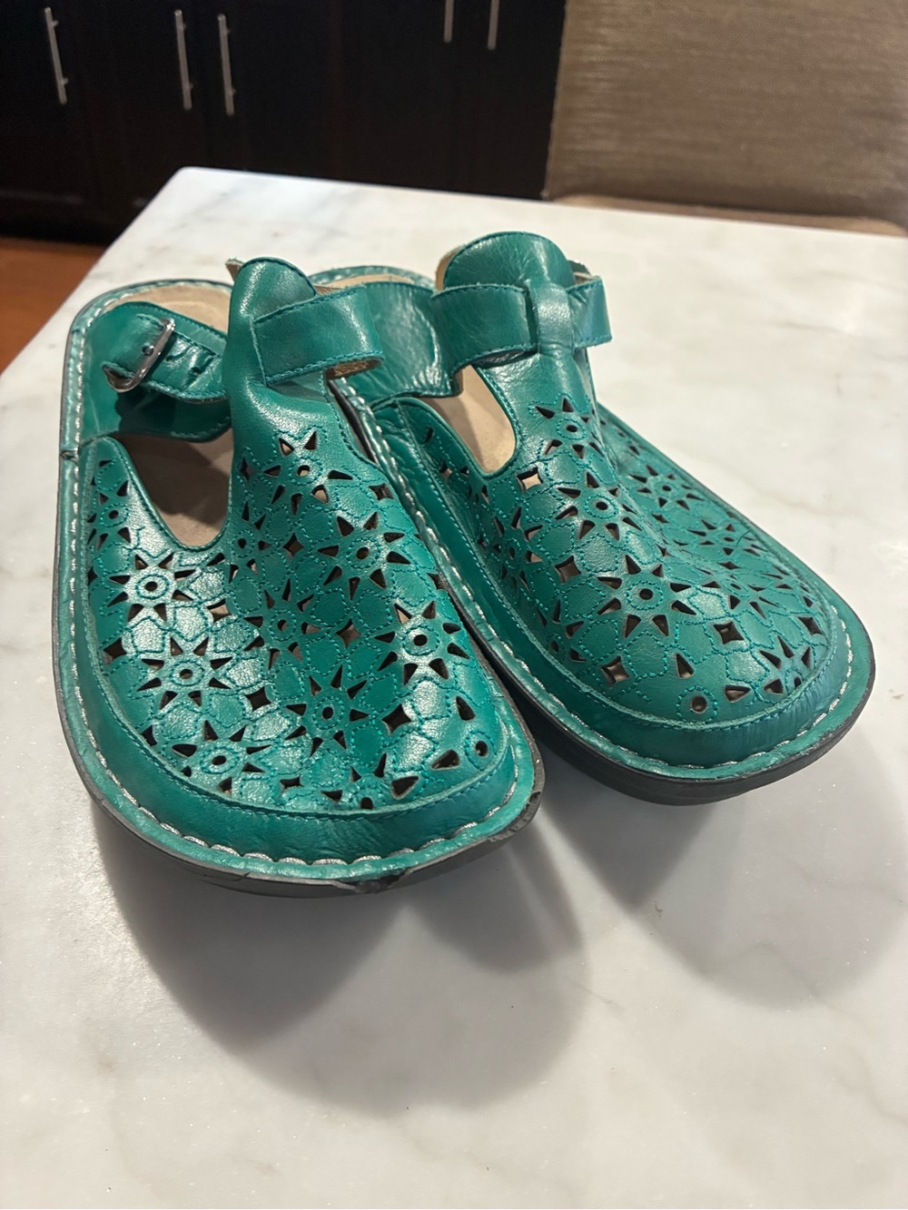 Alegria Shoes Size 42 Green Mary Jane Mule Clog Professional Shoes